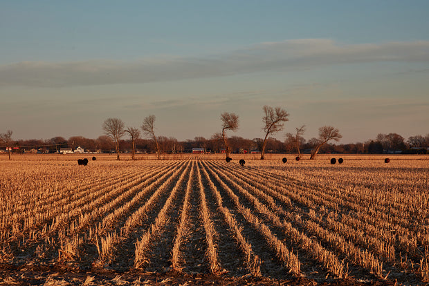 <h3>Nominate a Farm or Ranch</h3>